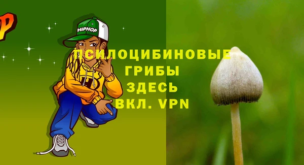спайс Алексин