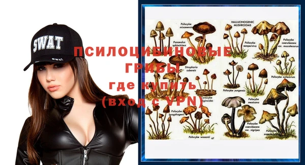 PSILOCYBIN Арсеньев